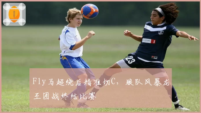 Fly马超绕后精准切C，狼队风暴龙王团战终结比赛
