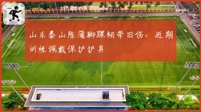 山东泰山陈蒲脚踝韧带旧伤,近期训练佩戴保护护具