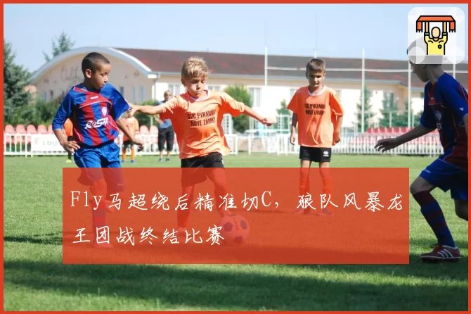 Fly马超绕后精准切C，狼队风暴龙王团战终结比赛